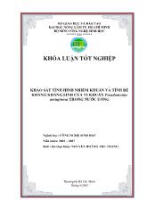 Khóa luận Khảo sát tình hình nhiễm khuẩn và tính đề kháng kháng sinh của vi khuẩn Pseudomonas aeruginosa trong nước uống