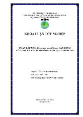 Khóa luận Phân lập nấm Fusarium moniliforme gây bệnh lúa von và xác định dòng nấm tạo giberelin