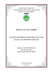 Khóa luận Xây dựng qui trình PCR phát hiện nấm Ustilago scitaminea gây bệnh than trên mía