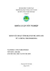 Luận văn Khảo sát hoạt tính hệ enzyme amylase từ 3 chủng nấm Trichoderma