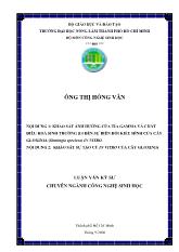 Luận văn Khảo sát sự ảnh hưởng của tia gama và chất điều hòa sinh trưởng ba đến sự biến đổi kiểu hình của cây gloxinia (Sinningia speciosa) invitro và khảo sát sự tạo cử của cây gloxinia invitro