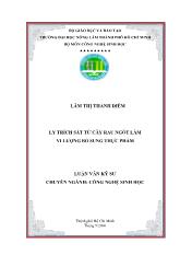 Luận văn Ly trích sắt từ cây rau ngót làm vi lượng bổ sung thực phẩm