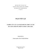 Luận văn Nghiên cứu gây tạo trầm hương trên cây dó bầu bằng phương pháp vi sinh và hóa học