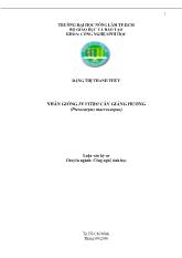 Luận văn Nhân giống in vitro cây Giáng hương (Pterocarpus macrocapus)