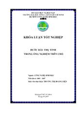 Khóa luận Bước đầu thụ tinh trong ống nghiệm trên chó