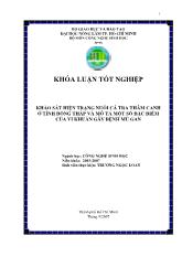 Khóa luận Khảo sát hiện trạng nuôi cá tra thâm canh ở tỉnh Đồng Tháp và mô tả một số đặc điểm của vi khuẩn gây bệnh mủ gan