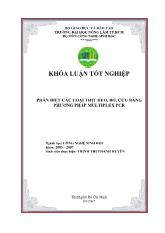 Khóa luận Phân biệt ba loại thịt heo, bò cừu bằng phương pháp multiplex PCR