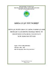 Khóa luận Phân lập, tuyển chọn các giống vi sinh vật sinh protease và gây hương mắm đặc trưng và ứng dụng vào sản xuất nước mắm chay từ nấm