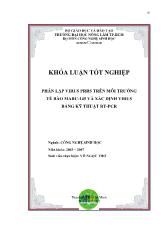 Khóa luận Phân lập virus PRRS trên môi trường tế bào MARC-145 và xác định virus bằng kỹ thuật RT-PCR