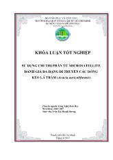 Khóa luận Sử dụng chỉ thị phân tử Microsatellite đánh giá đa dạng di truyền các dòng keo lá tràm (Acacia auriculiformis)