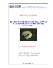 Khóa luận Tìm hiều quy trình công nghệ sản xuất nấm Metarhizium spp trừ sâu hại cây trồng