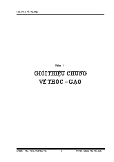 Luận văn Tìm hiểu khả năng ứng dụng các loại gạo trong sản xuất bún tươi và bánh tráng khô