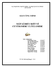 Tiểu luận Một số hiểu biết về Centromere và Telomere
