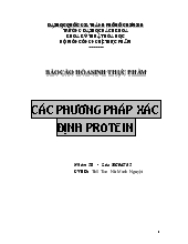 Đề tài Các phương pháp xác định Protein