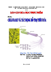 Đề tài Cellulose và tác dụng hỗ trợ tiêu hóa