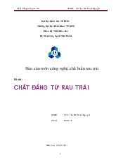 Đề tài Chất đắng từ rau trái