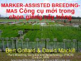 Đề tài Công cụ mới trong chọn giống cây trồng - Marker-assisted breeding-MAS