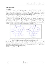 Đề tài Công nghệ lên men Rifamycin