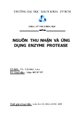 Đề tài Nguồn thu nhận và ứng dụng enzyme protease