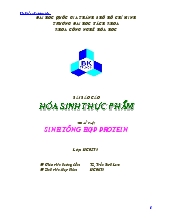 Đề tài Quá trình sinh tổng hợp protein