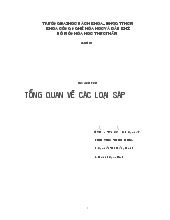 Đề tài Tổng quan về các loại sáp