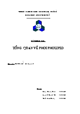 Đề tài Tổng quan về Phospholipid