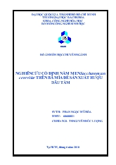 Đồ án Nghiên cứu cố định nấm men Saccharomyces Cerevisiae trên bã mía để sản xuất rượu dâu tằm