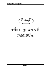 Đồ án Thiết kế phân xưởng sản xuất mứt đông dứa