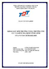 Luận văn Khảo sát môi trường tăng trưởng tối ưu và kiểm tra định tính lipid của vi tảo tetraselmis