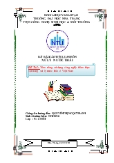 Tiểu luận Tiềm năng sử dụng công nghệ thảm thực vật trong xử lý nước thải ở Việt Nam
