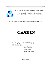 Tiểu luận Tìm hiểu về casein