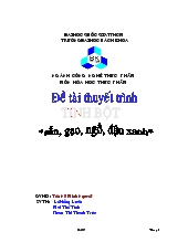 Tiểu luận Tổng quan về các loại tinh bột: sắn, gạo, ngô, đậu xanh