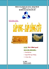 Tiểu luận Tổng quan về sáp ong và sáp lông cừu
