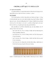 Luận án Tuyển chọn và cải thiện các chủng acetobacter xylinum tạo cellulose vi khuẩn để sản xuất và ứng dụng ở quy mô pilot