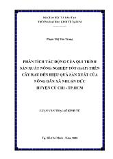 Luận văn Phân tích tác động của qui trình sản xuất nông nghiệp tốt (GAP) trên cây rau đến hiệu quả sản xuất của nông dân xã Nhuận Đức huyện Củ Chi, thành phố Hồ Chí Minh