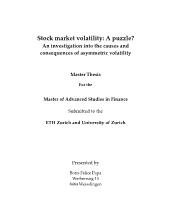 Stock market volatility: A puzzle? An investigation into the causes and consequences of asymmetric volatility