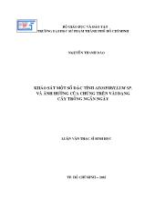 Luận văn Khảo sát một số đặc tính Azospirillum Sp. và ảnh hưởng của chúng trên vài dạng cây trồng ngắn ngày