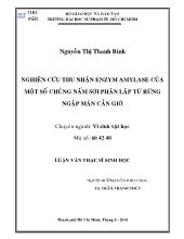 Luận văn Nghiên cứu thu nhận enzym amylase của một số chủng nấm sợi phân lập từ rừng ngập mặn Cần Giờ