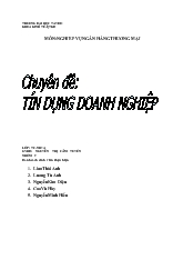 Chuyên đề Tín dụng doanh nghiệp