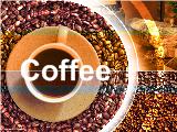 Đề tài Giải pháp nâng cao thương hiệu cà phê Việt Nam