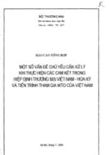 Đề tài Một số vấn đề chủ yếu cần xử lý khi thực hiện các cam kết trong hiệp định thương mại Việ Nam - Hoa Kỳ và tiến trình tham gia WTO của Việt Nam