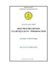 Khóa luận Phân tích thu chi ngấn sách nhà nước của huyện Lấp Vò – tỉnh Đồng Tháp