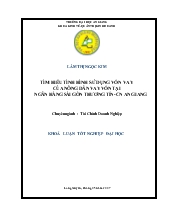 Khóa luận Tìm hiểu tình hình sử dụng vốn vay của nông dân Huyện Chợ Mới vay vốn tại Ngân hàng Sài Gòn Thương Tín-Chi nhánh An Giang