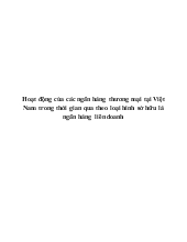Tiểu luận Hoạt động của các ngân hàng thương mại tại Việt Nam trong thời gian qua theo loại hình sở hữu là ngân hàng liên doanh