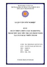 Hoàn thiện chiến lược Marketing nhằm thúc đẩy tiêu thụ sản phẩm Vesim tại công ty CP dược Thiên Thanh