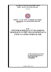 Phân tích hiệu quả từ hoạt động nhập khẩu và tiêu thụ hàng hóa của công ty cổ phần đào tạo công nghệ Trí Tuệ Trẻ