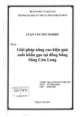 Giải pháp nâng cao hiệu quả xuất khẩu gạo tại đồng bằng Sông Cứu Long