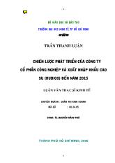 Chiến lược phát triển của Công ty Cổ phần Công nghiệp và Xuất nhập khẩu Cao su (RUBICO) đến năm 2015