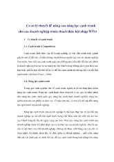 Cơ sở lý thuyết để nâng cao năng lực cạnh tranh cho các doanh nghiệp trước thách thức hội nhập WTO