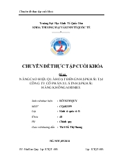 Nâng cao hiệu quả kinh tế hoạt động nhập khẩu tại Công ty cổ phần xuất nhập khẩu Hàng Không AIRIMEX
